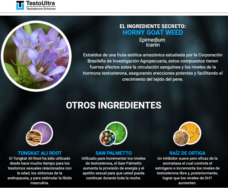testo ultra ingredientes